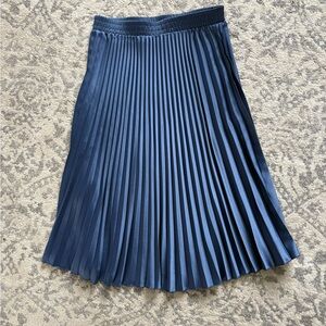 H&M Navy A-Line Pleated Skirt